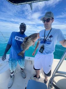 Red Grouper fish caught in Key Largo