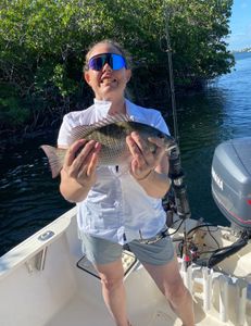 Redfish caught in Key Largo