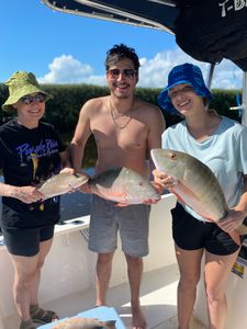 Two grey snapper and mutton snapper fish caught in Key Largo