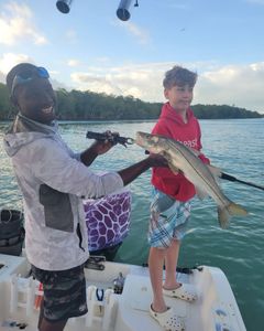 Snook fishing in FL