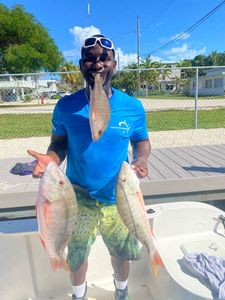 Three fishing rods with a scenic view of the Florida Keys in the background