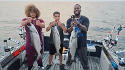 Three bluefish caught during a fishing trip in Whitehall