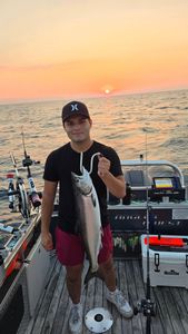 Chinook salmon fishing in Michigan