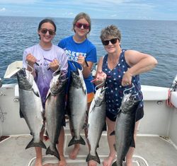 5 pink salmon and chinook salmon caught in Olcott