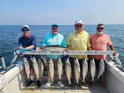 9 pink, chinook, and coho salmon caught during fishing trip in NY