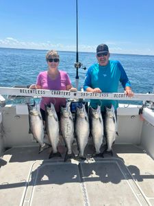 6 Chinook Salmon caught during fishing in NY