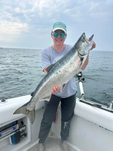Chinook Salmon, a big fish caught while fishing in NY