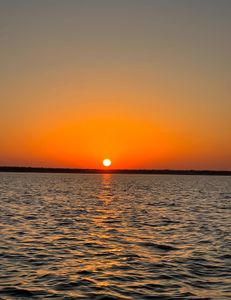 The best therapy? Fishing in Austin!