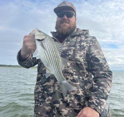 Explore the ultimate White Bass fishing experience