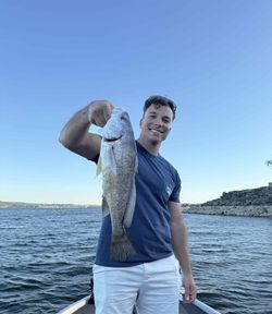 A fisherman catches a black drum fish in Buchanan Dam