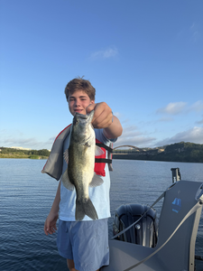 Huge Florida Bass reeled in under clear skies at Buchanan Dam!