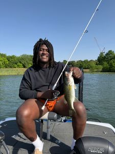 Image of a Florida Bass fish caught while fishing