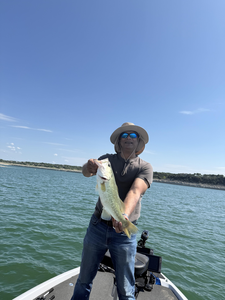 A monster Florida Bass was hooked at Buchanan Dam in Texas!