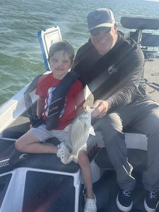 Hooked this feisty wiper bass in Buchanan Dam!