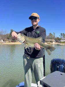 Largemouth Bass caught at Buchanan Dam