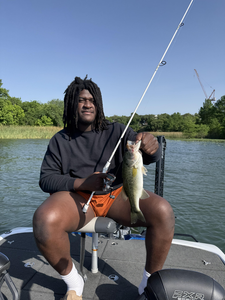 An impressive Largemouth Bass caught with some serious angling skills at Buchanan Dam!