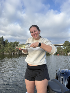 Nice largemouth bass using heavy and light tackle at Buchanan Dam! Clear conditions made for great fishing today.