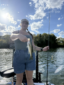 Nice largemouth bass using heavy and light tackle combo at Buchanan Dam!
