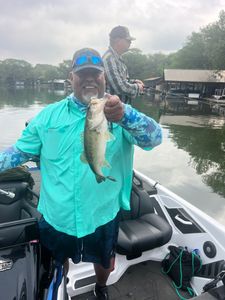 Largemouth Bass caught while fishing in TX