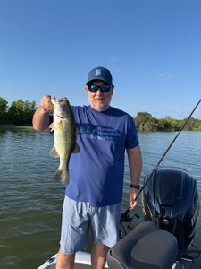 Largemouth Bass caught while fishing in TX