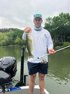 Largemouth bass caught in TX