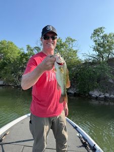 Largemouth bass caught while fishing in TX