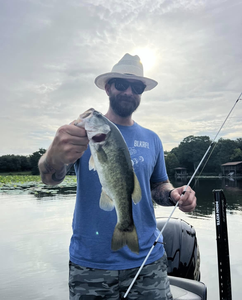 Caught a massive Largemouth Bass at Buchanan Dam