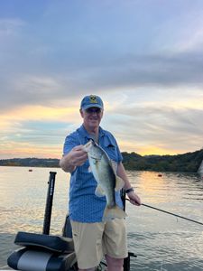 Smallmouth bass caught in TX