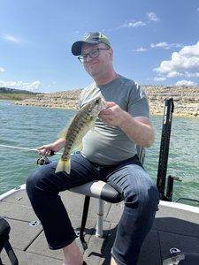 A spotted bass landed in Buchanan Dam, TX using a variety of fishing tackle.