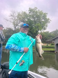 Largemouth bass caught in TX