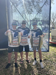Three largemouth bass caught at Buchanan Dam