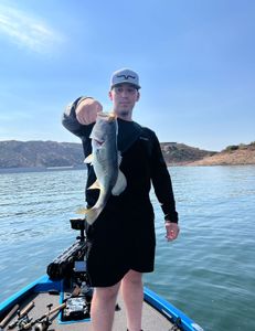 Largemouth bass fishing in CA