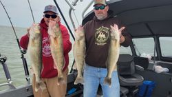 Erie walleye: Angler's dream