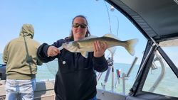 Lake Erie walleye magic