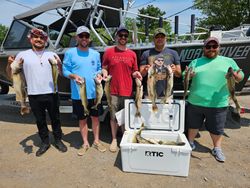 Lake Erie walleye champions