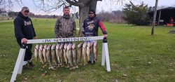 Lake Erie's walleye bounty
