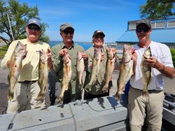 Golden walleye, golden memories
