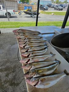 Walleye fishing like a pro!
