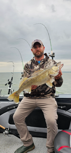 A lone walleye measuring 23 inches caught while fishing in OH.