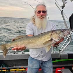 Angler with a 31-inch pike-perch in OH