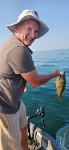 Angler with an American Yellow Perch fish in OH
