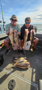 Three fishing poles with a scenic background in Vermilion