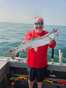 A single rainbow trout, 23 inches long, caught while fishing in Vermilion