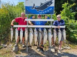 11 Chinook Salmon and Pink Salmon caught in Vermilion