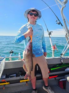 A white catfish measuring 20 inches caught while fishing in Vermilion