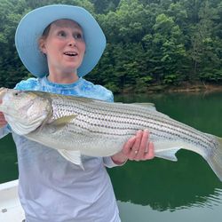 Striper success on beautiful Lake Allatoona today