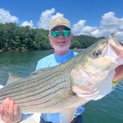 Big striped bass landed on Lake Allatoona