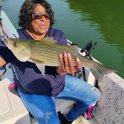 Striped bass action heating up this morning