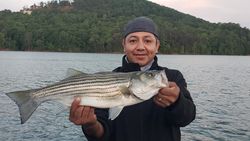 Striper fishing in lake Allatoona
