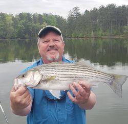 Striper fishing in lake Allatoona